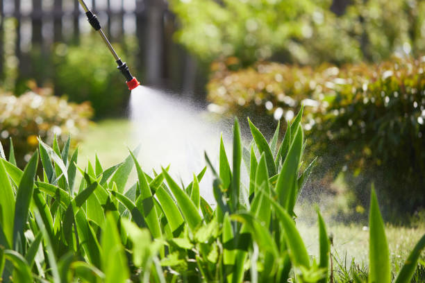 Tamper-Resistant Bait Stations for Rodents in Pepper Pike