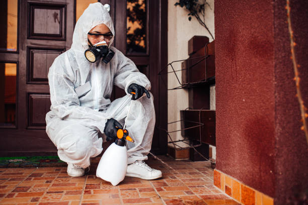 Attic and Crawl Space Rodent Treatment in Pepper Pike
