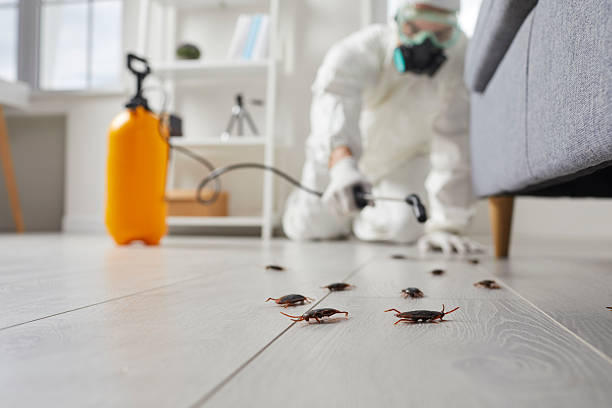 Commercial Rodent Management in Pepper Pike